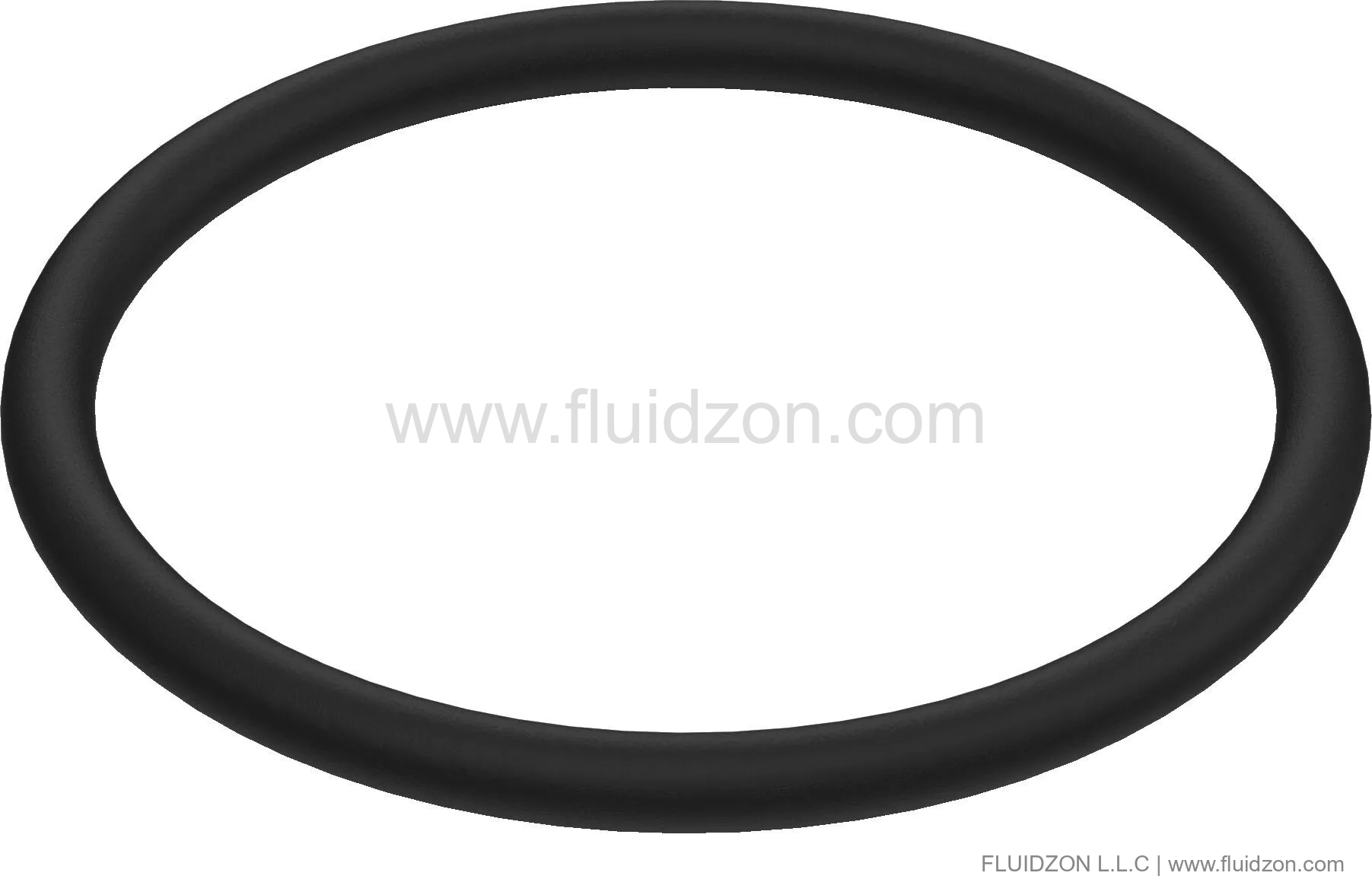 Flush valve holder O-ring